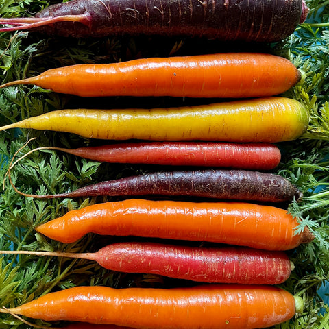 Rainbow carrots