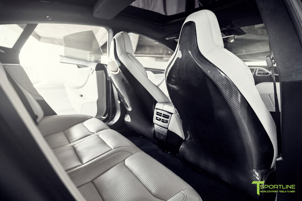 Model S V20 Carbon Fiber Seatback