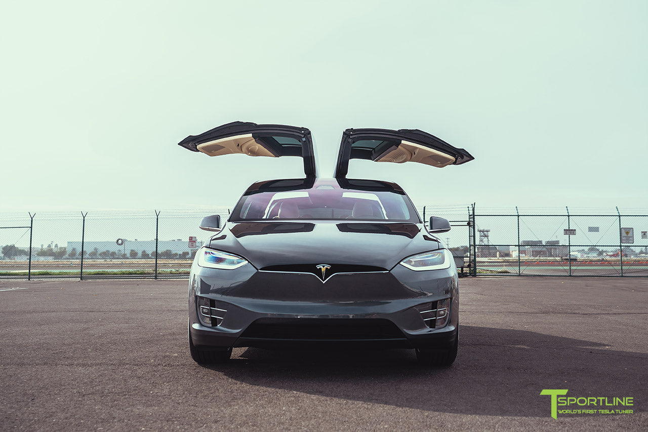 Midnight Silver Metallic Model X Custom Ferrari Creme