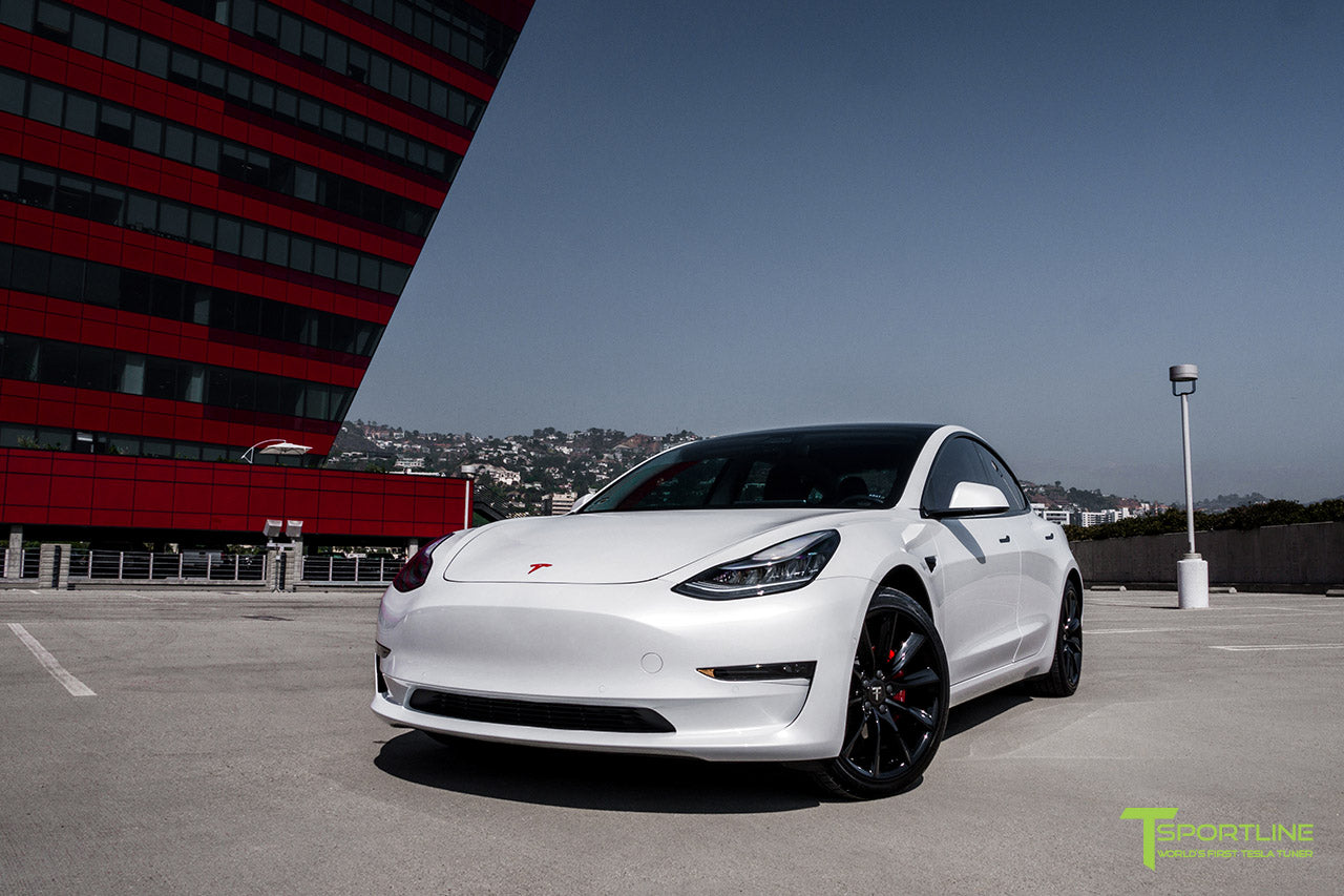 Pearl White Tesla Model 3 Red Diamond Leather Interior T Sportline Tesla Model S 3 X Y Accessories