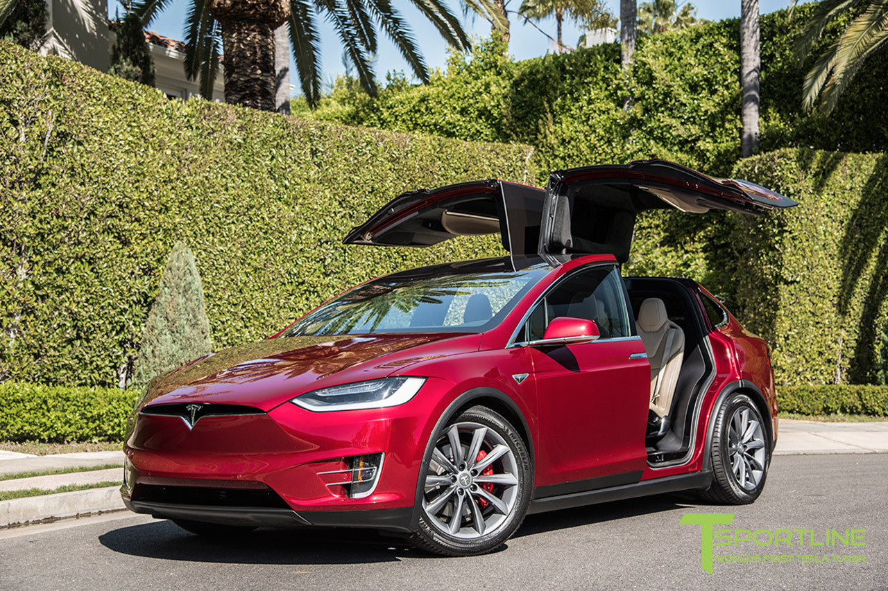 Signature Red Model X with 20