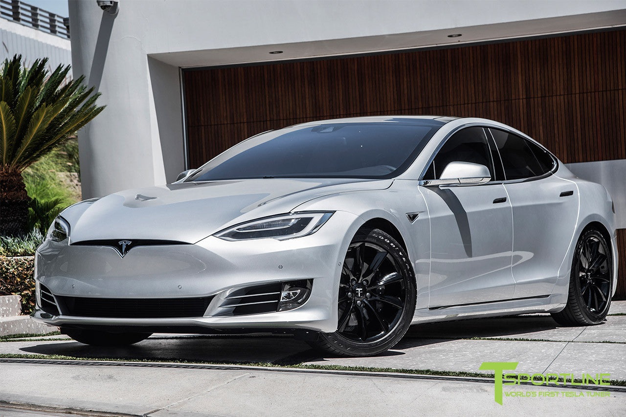 Model S 20 With 19 Tst Tagged Color Gloss Black