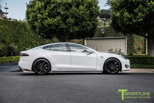 Model S 20 With 19 Tst