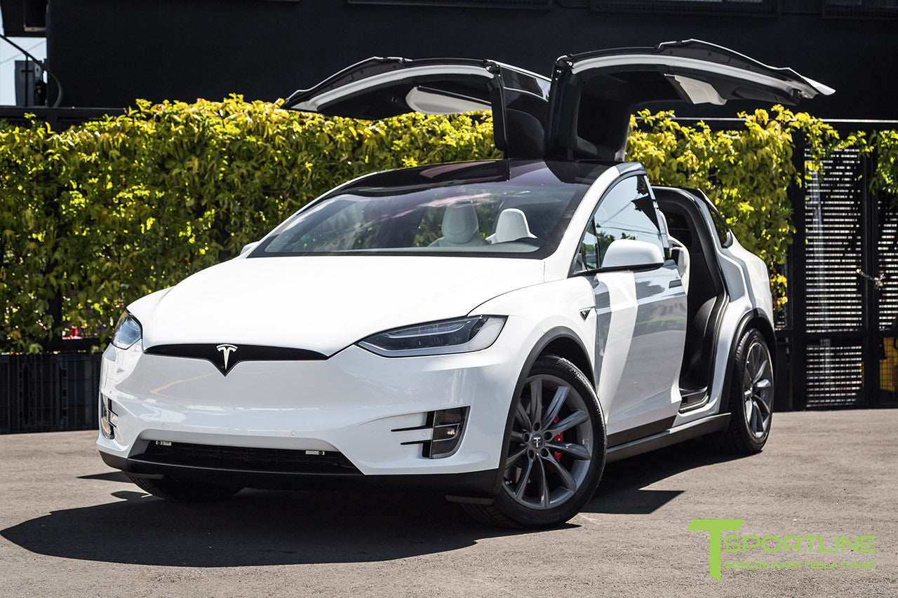 White Model X with 20