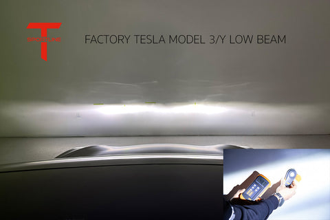 Stock Tesla Low Beam Projection