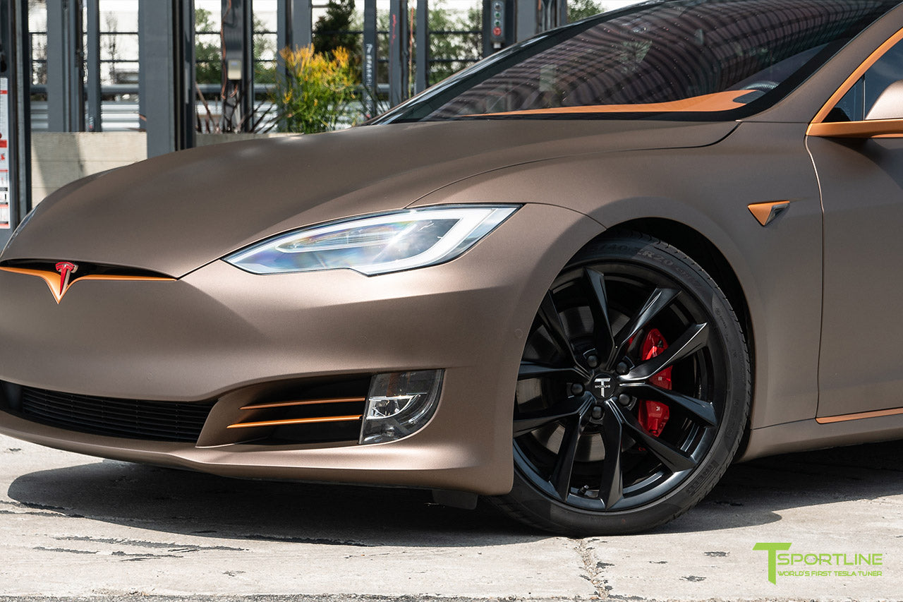 Project Muthyaga: 2019 Tesla Model S Performance with Ludicrous Mode