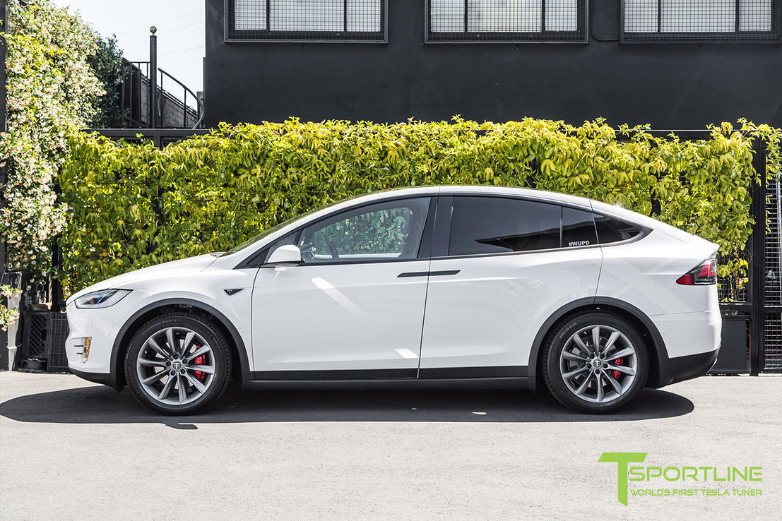 Tesla Model X 20