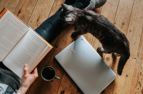 person reading a book with tea and a cat nearby