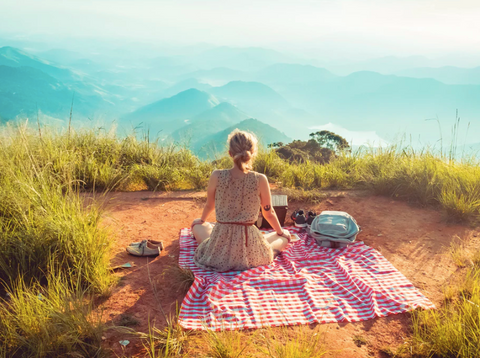 personal picnic