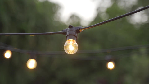 festoon lights, outdoors