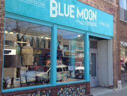 Blue Moon Emporium sells gifts, novelties and clothing   in downtown Appleton.(Photo: Maureen Wallenfang/Post-Crescent Media)