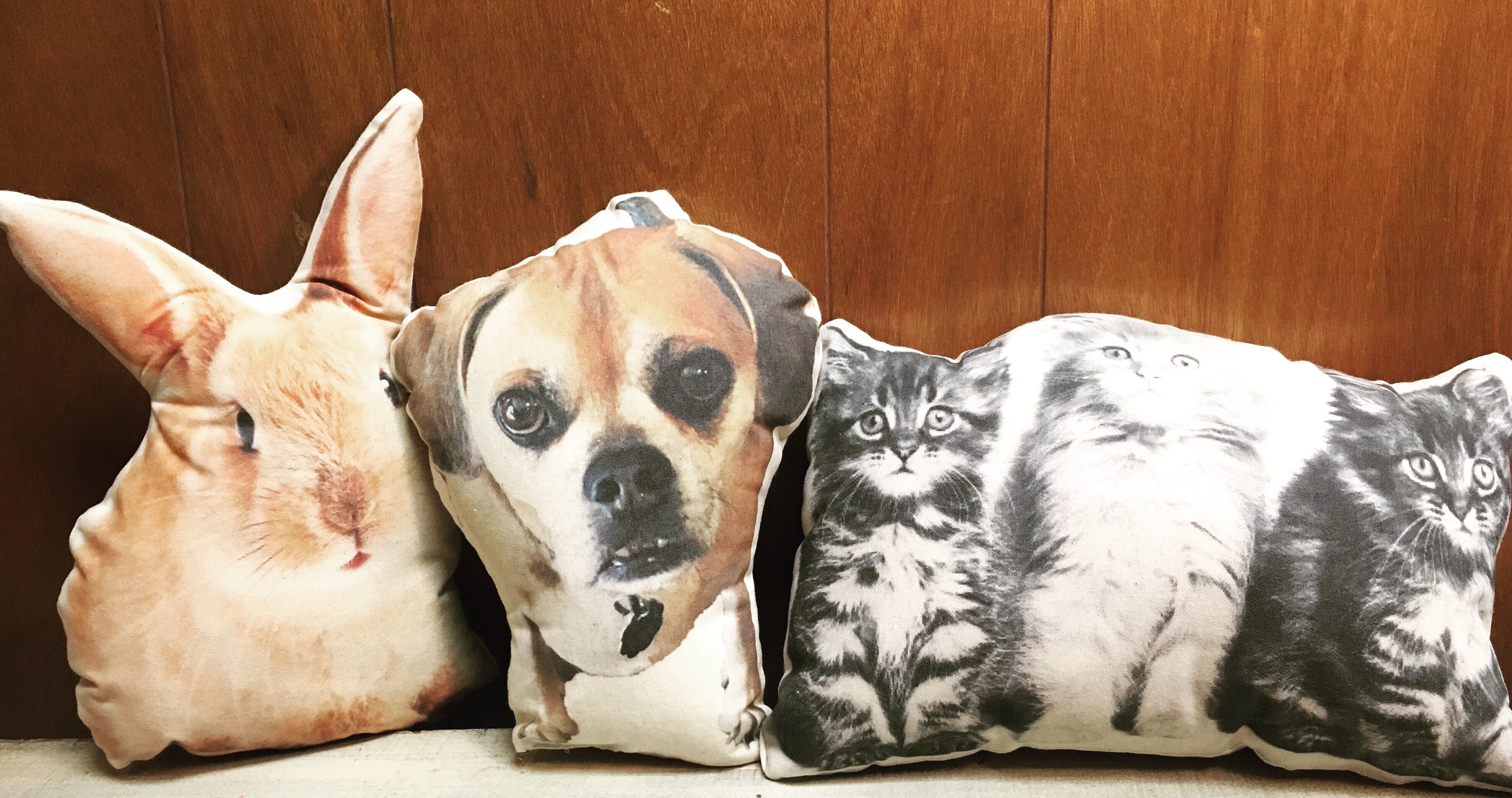 custom pet cushion