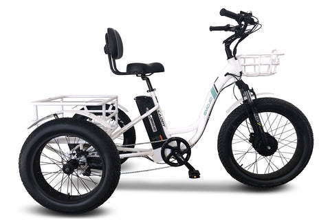 side by side electric tricycle