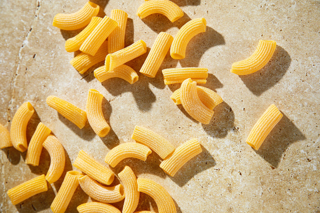 How to Make Fresh Rigatoni Pasta – Pasta Evangelists