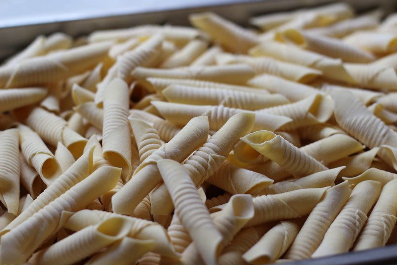 How to Make Homemade Garganelli Pasta – Pasta Evangelists