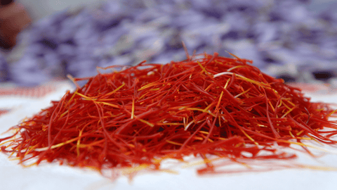 Sardinian saffron
