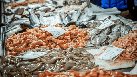 Fresh fish at the Rialto fish market