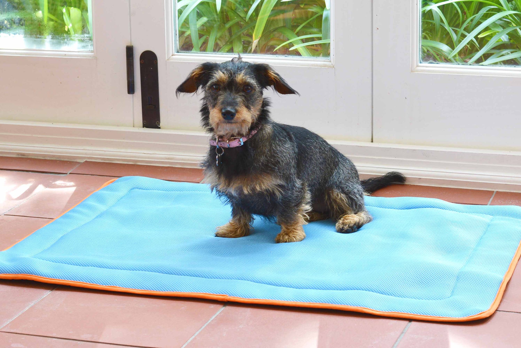 how to make a dog cooling mat