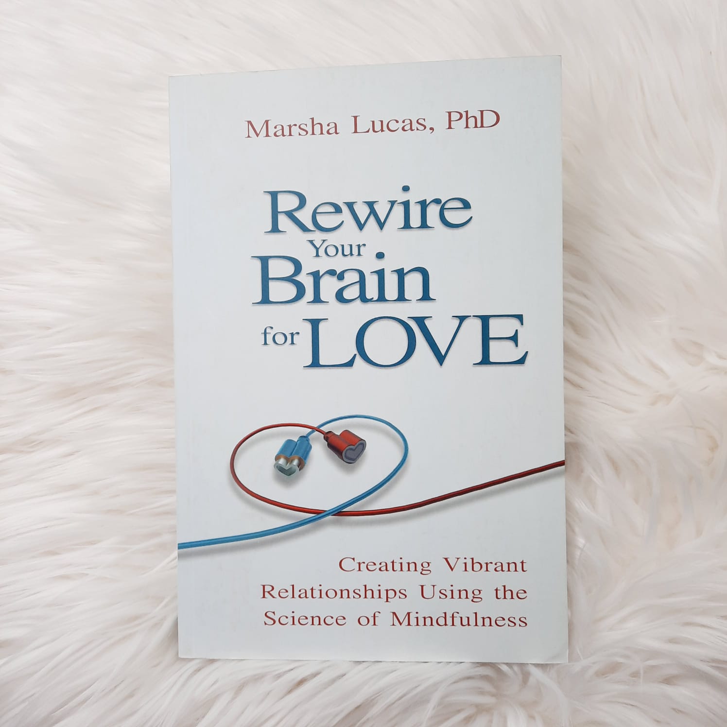 Rewire Your Brain for Love by Marsha Lucas