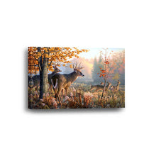 Fall Bucks Deer Hunting Framed Canvas Home Decor Wall Art Multiple Choices 1 3 4 5 Panels