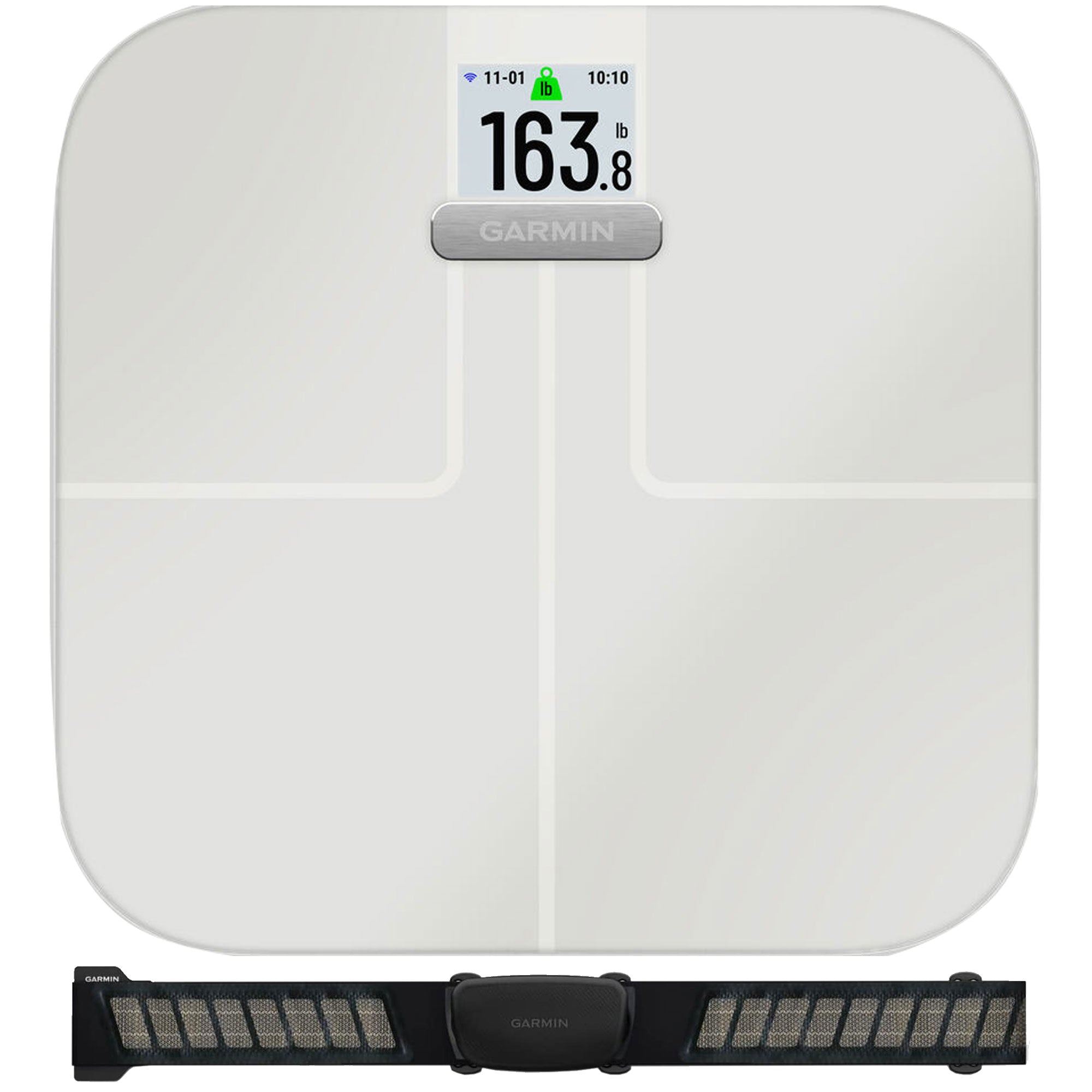 accelerator interview Gå vandreture Garmin Index S2 Smart Scale with Wi-Fi Connectivity (White, Worldwide) –  The Teds Store