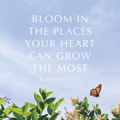 Bloom in the places your heart can grow the most