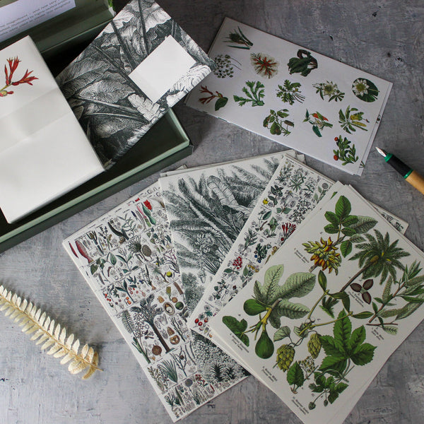 Letter Writing Kit Botanical 