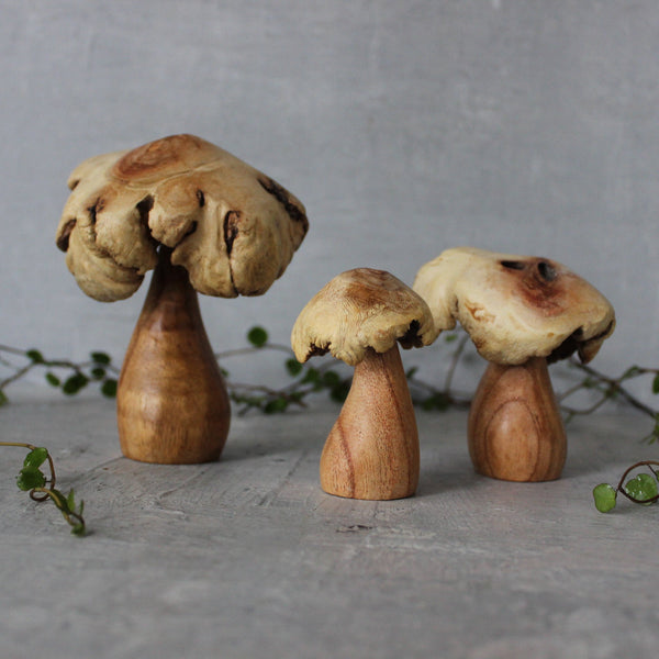 Hand Craved Wooden Mushrooms