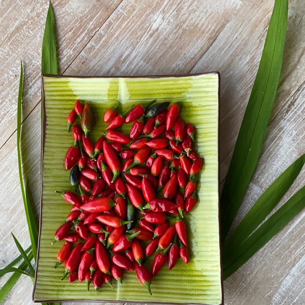 Featured image of post Steps to Prepare Indian Chili Peppers