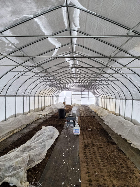 greenhouse interior after snow