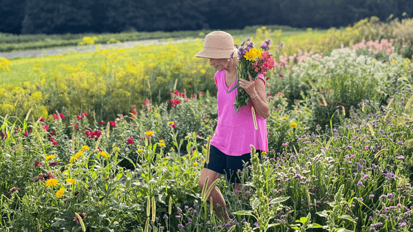 Do lilies have a scent? – Harmony Harvest Farm