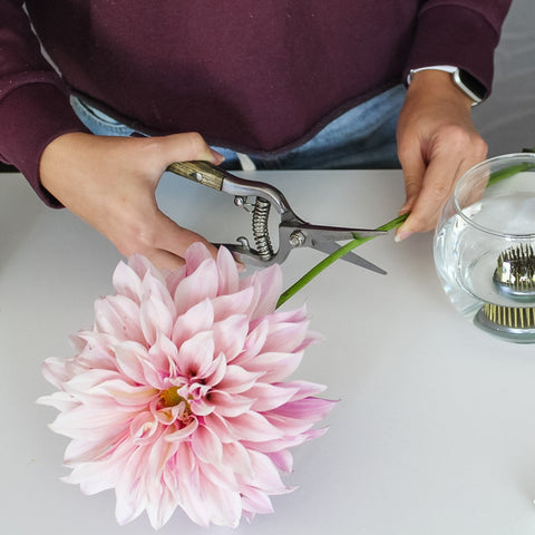 How to Make Cut Flowers Last Longer • Everyday Cheapskate