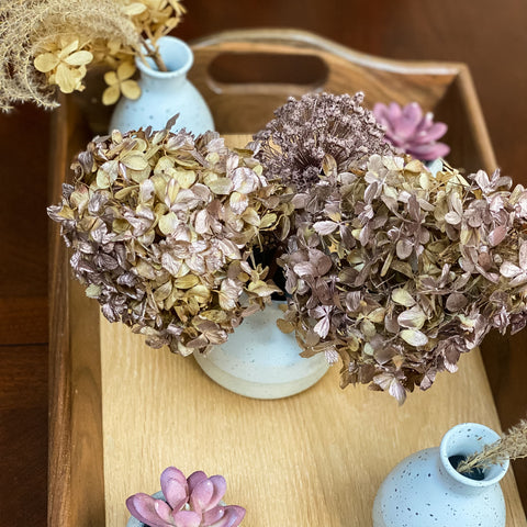 How to Make a Dried Hydrangea Vase 