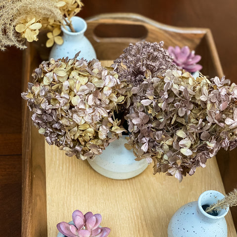 How to dry hydrangeas - Our Tiny Nest