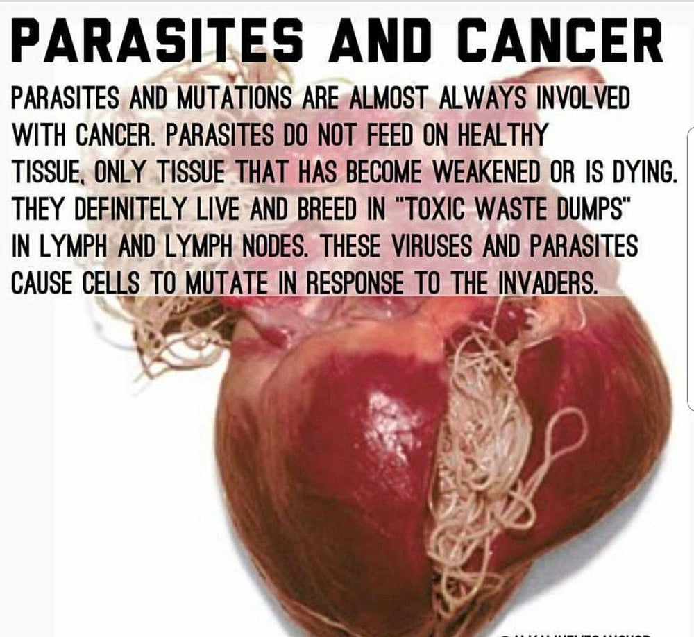 what is a parasite cleanse)