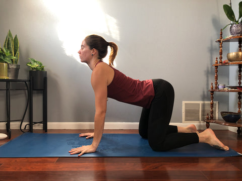 girl does cow pose on yoga mat