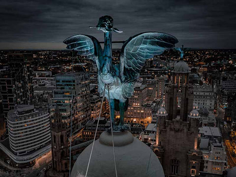 Urban_photographer_Liverpool_liverbird_night