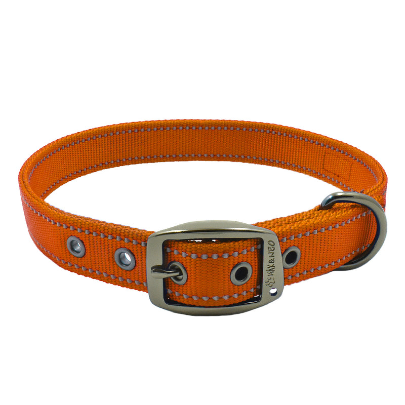 dog collar without buckle