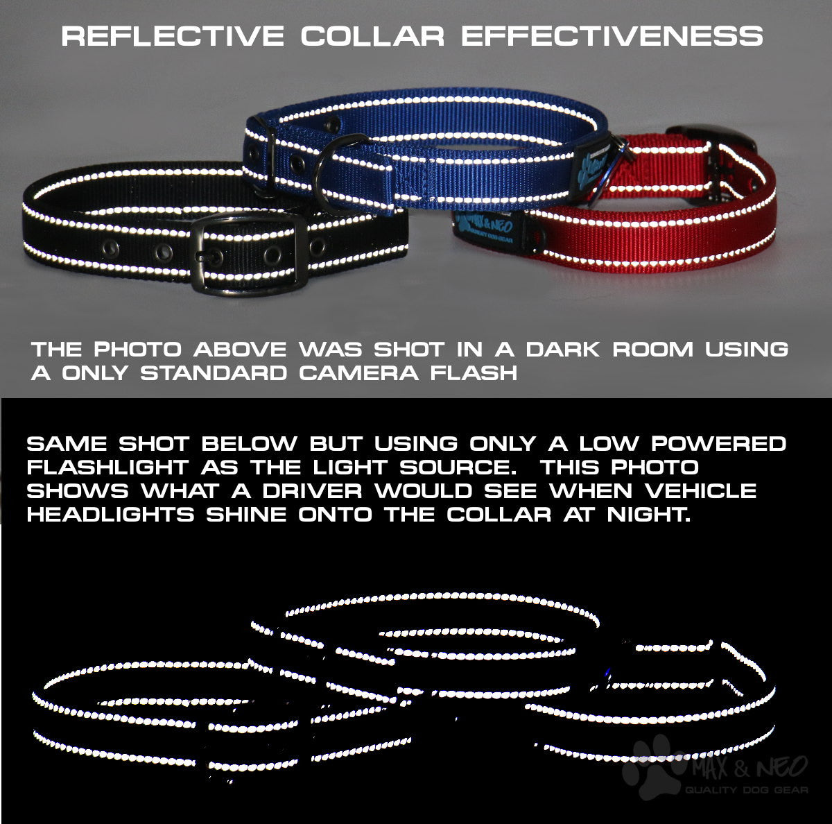 The NEO Dog Collar | Max and Neo