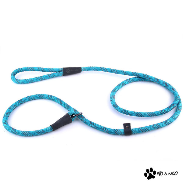 Buy 4ft Reel Leashes Free Shipping Online in India 
