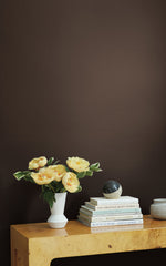 Coffee Date | Wall Paint | Clare