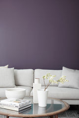 Prince | Wall Paint | Clare