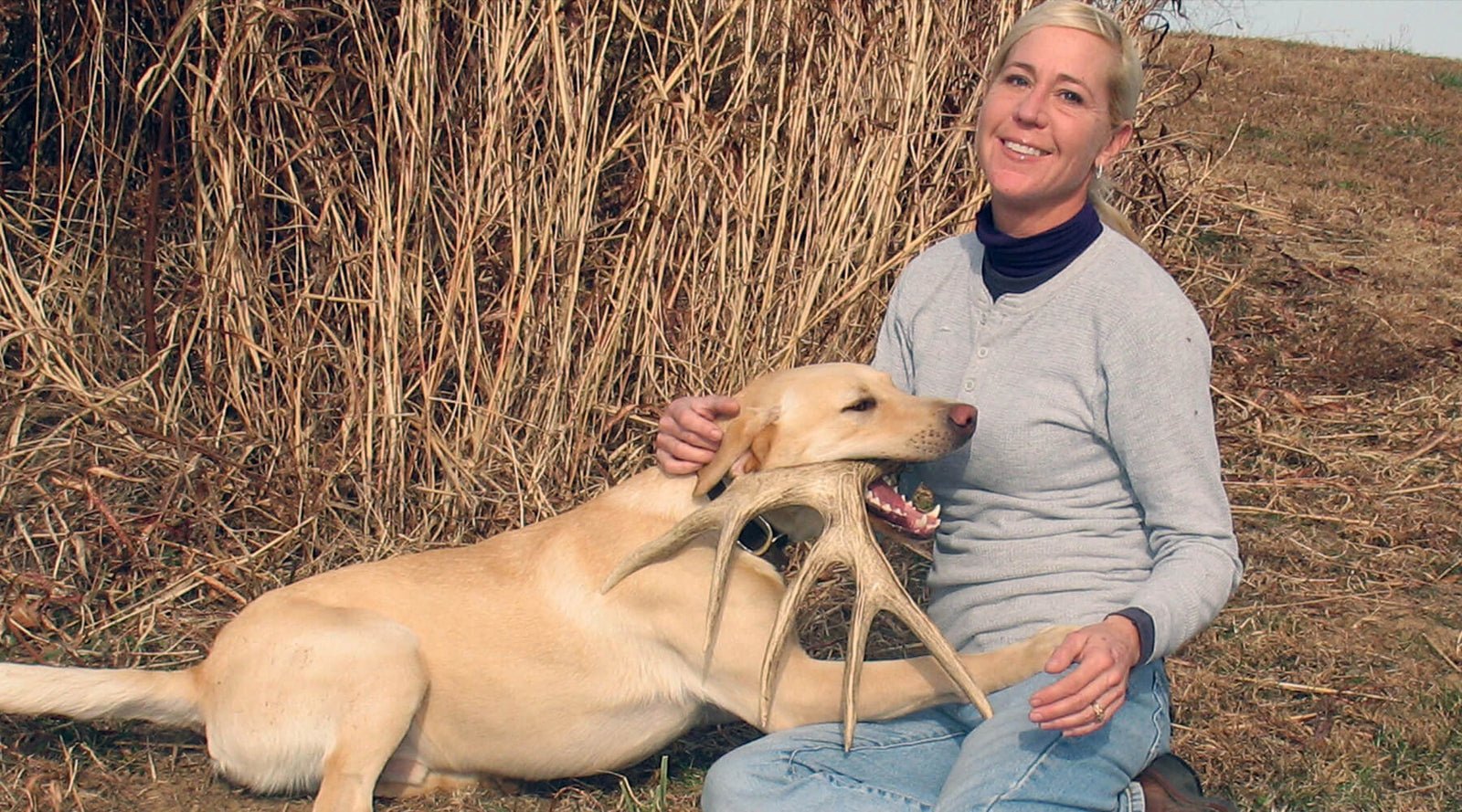 Training a Shed Antler Dog - Redneck Blinds