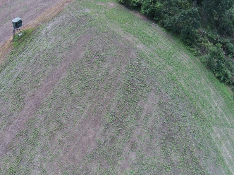 View of hunting lease from drone