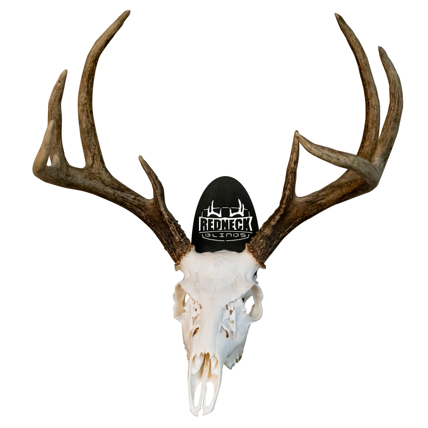 deer head mount