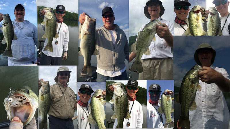 shad spawn lake guntersville