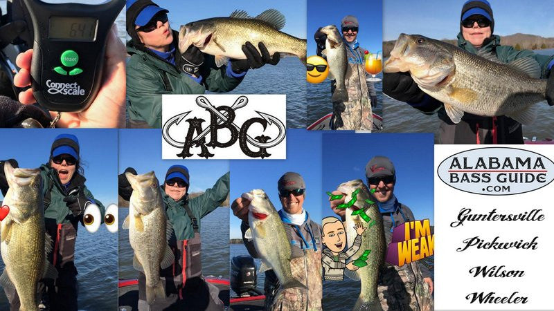 February Guntersville Fishing Report