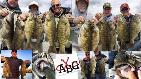 Pickwick Trophy Smallmouth Fishing 