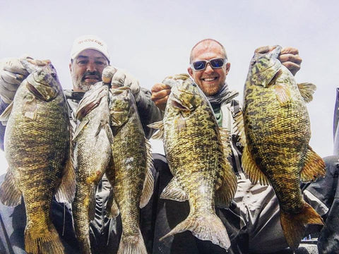 Pickwick Lake Smallmouth Fishing