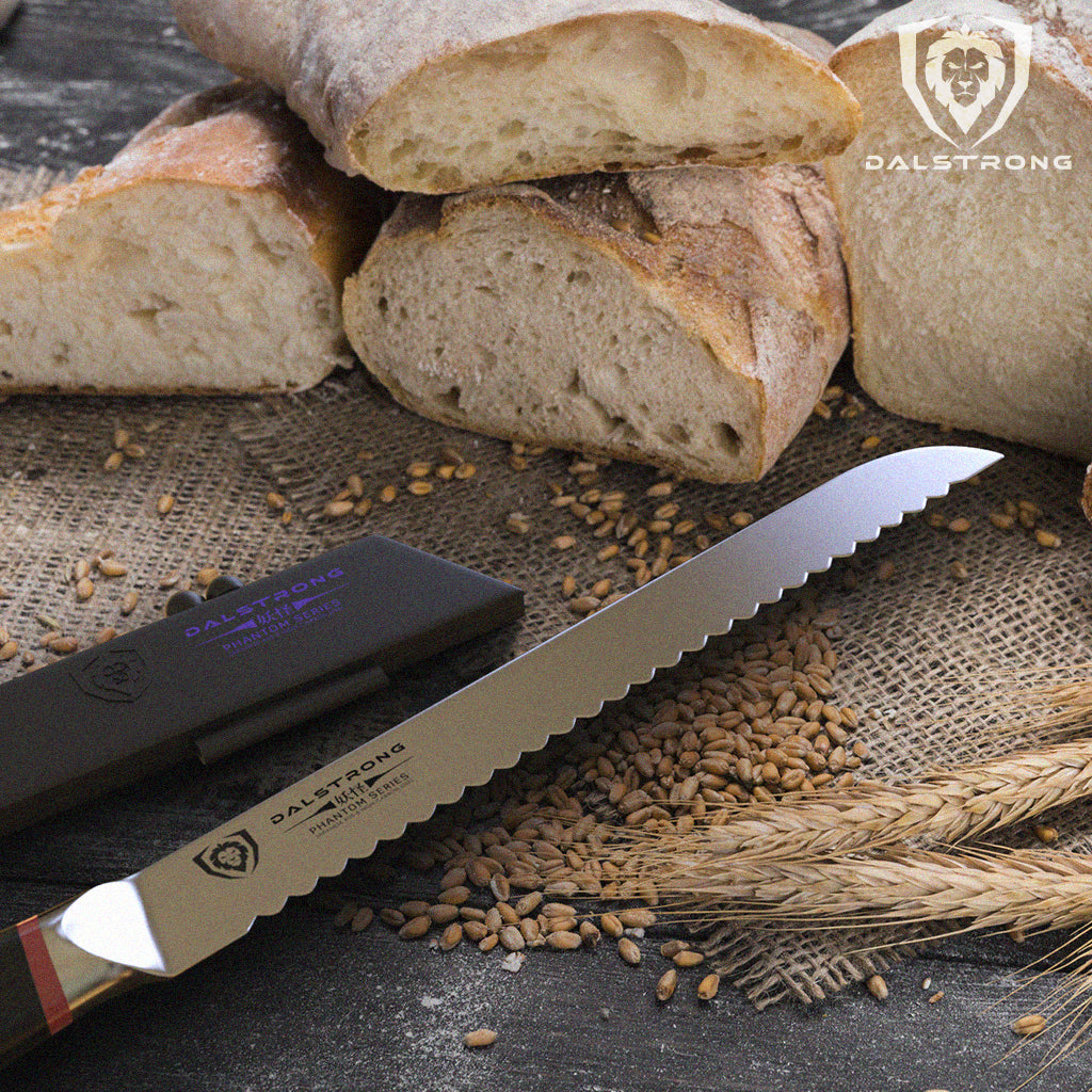 Dalstrong bread knife with its knife sheath surrounded by slices of bread